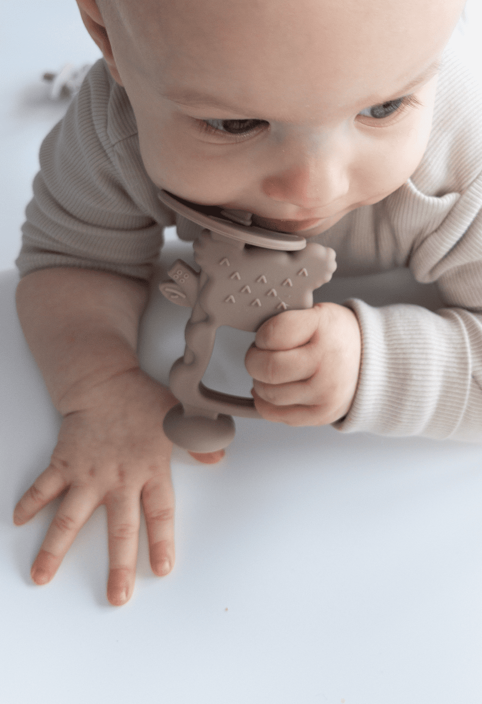 Kefe, a Koala Szilikon Rágóka